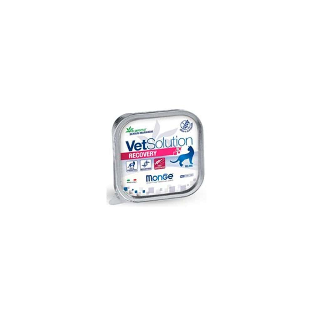 CAT MONGE VET SOLUTION RECOVERY X 100 GR