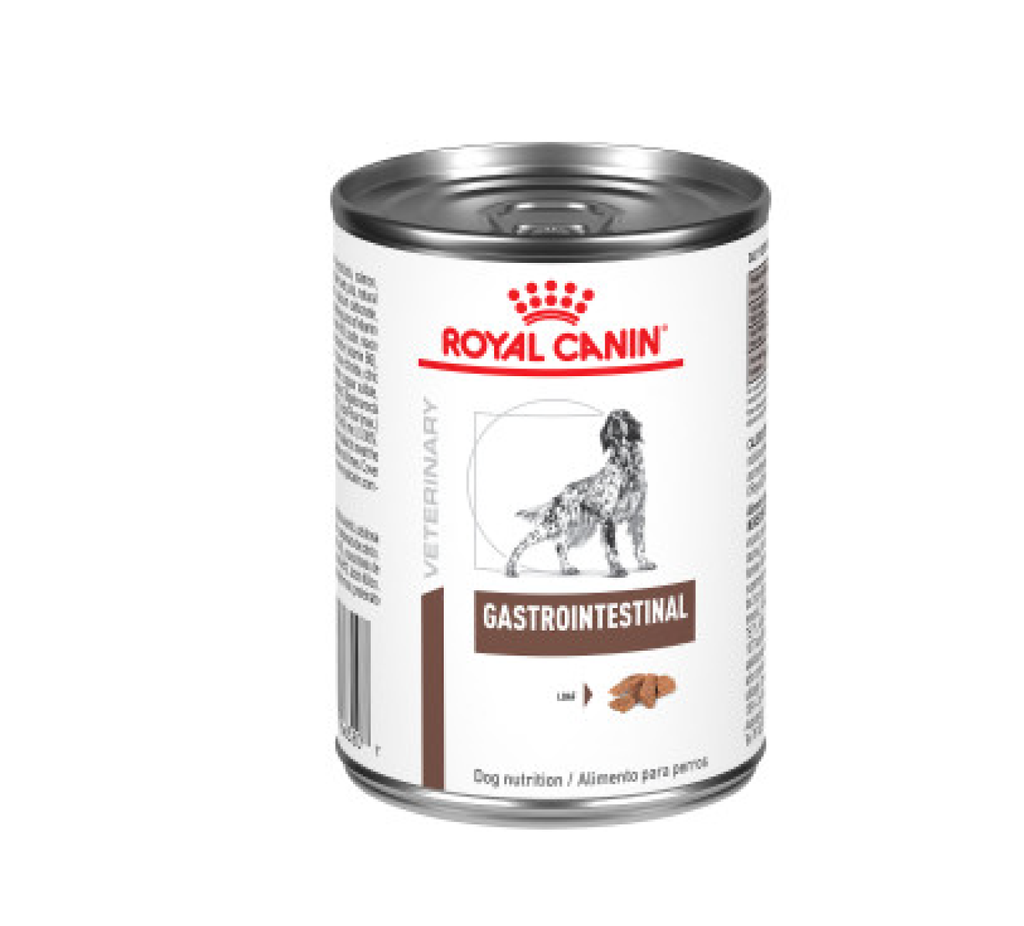 ROYAL CANIN GASTROINTESTINAL DOG * 385 GR