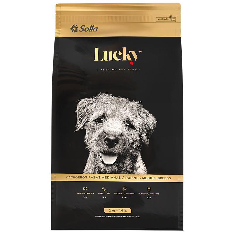 LUCKY CACHORROS RM X 2 KG