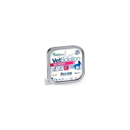 [PHGA021] CAT MONGE VET SOLUTION RECOVERY X 100 GR