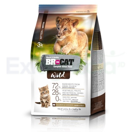 [20032] BR FORD CAT WILD KITTEN *1K