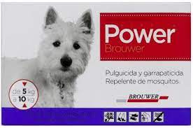 POWER BROUWER 5-10 K PERRO