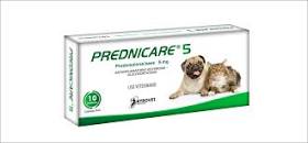 PREDNICARE * 20 MG