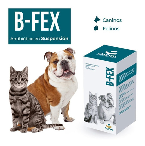 B-FEX * 60ML