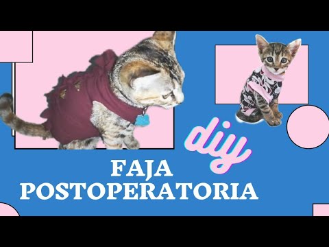 FAJAS POSTOPERATORIA