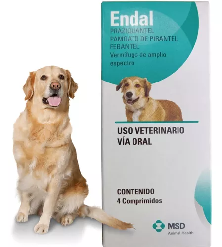 ENDAL CAJA X 4 TB